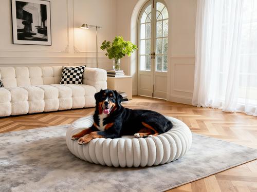 Show full view: LFC PETS Donut Bolster Dog & Cat Bed with Removable Cover, Milky White, Large slide 4 of 11