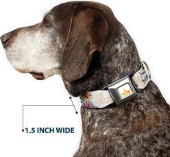 Buckle-Down Disney Beauty & the Beast Belle Castle Pose Dog Collar, Large: 15 to 24-in neck, 1-in wide slide 2 of 8