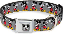 Buckle-Down Disney Mickey Mouse Glasses Poses Dog Collar, Large: 15 to 24-in neck, 1-in wide
