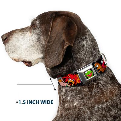 Show full view: Buckle-Down Disney Muppets Faces Dog Collar, Medium: 11 to 16.5-in neck, 1-in wide slide 7 of 8