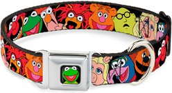 Buckle-Down Disney Muppets Faces Dog Collar, Medium: 11 to 16.5-in neck, 1-in wide