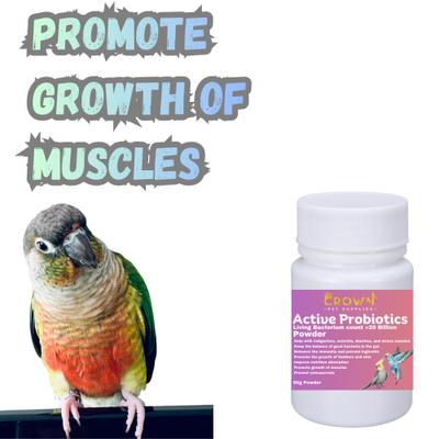 Show full view: Crown Pet Supplies Probiotics Over 20 Billions Beneficial Bacteria Powder Bird Supplement, 1.76-oz bag slide 7 of 8