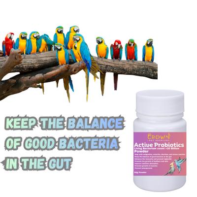Show full view: Crown Pet Supplies Probiotics Over 20 Billions Beneficial Bacteria Powder Bird Supplement, 1.76-oz bag slide 5 of 8