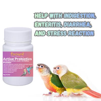 Show full view: Crown Pet Supplies Probiotics Over 20 Billions Beneficial Bacteria Powder Bird Supplement, 1.76-oz bag slide 4 of 8