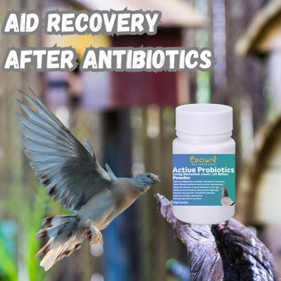 Show full view: Crown Pet Supplies Probiotic Over 20 Billions Good Bacteria Powder Pigeon Supplement, 1.76-oz bag slide 6 of 8