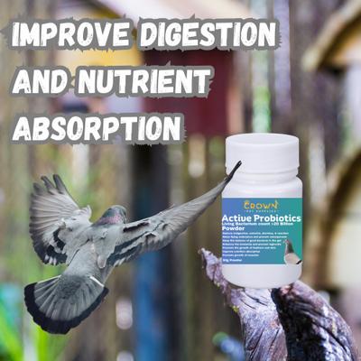 Show full view: Crown Pet Supplies Probiotic Over 20 Billions Good Bacteria Powder Pigeon Supplement, 1.76-oz bag slide 5 of 8