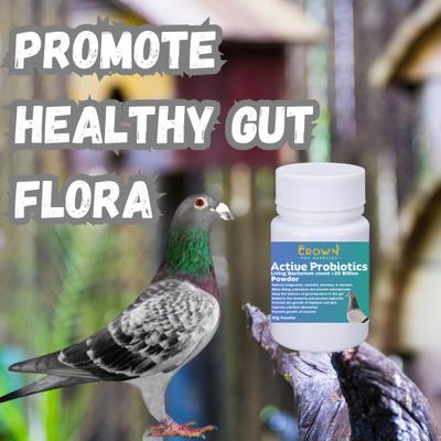 Show full view: Crown Pet Supplies Probiotic Over 20 Billions Good Bacteria Powder Pigeon Supplement, 1.76-oz bag slide 4 of 8
