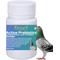 Show in main carousel: Crown Pet Supplies Probiotic Over 20 Billions Good Bacteria Powder Pigeon Supplement, 1.76-oz bag slide 1 of 8