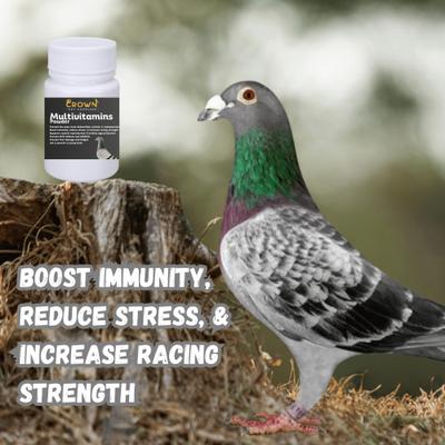 Show full view: Crown Pet Supplies The Ultimate Formula Multivitamins Powder Pigeon Supplement, 2.65-oz bag slide 6 of 7