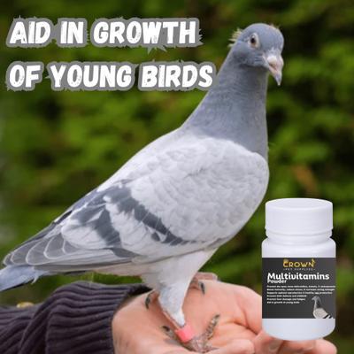 Show full view: Crown Pet Supplies The Ultimate Formula Multivitamins Powder Pigeon Supplement, 2.65-oz bag slide 5 of 7