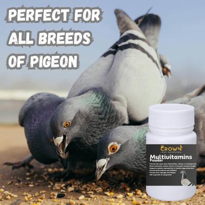 Show full view: Crown Pet Supplies The Ultimate Formula Multivitamins Powder Pigeon Supplement, 2.65-oz bag slide 4 of 7