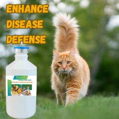 Show full view: Crown Pet Supplies Astraglus Polysaccharide Liquid Immune Support Bird Supplement, 250-mL bottle slide 8 of 8