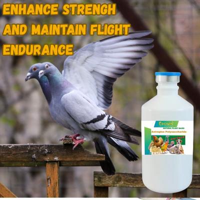 Show full view: Crown Pet Supplies Astraglus Polysaccharide Liquid Immune Support Bird Supplement, 250-mL bottle slide 7 of 8