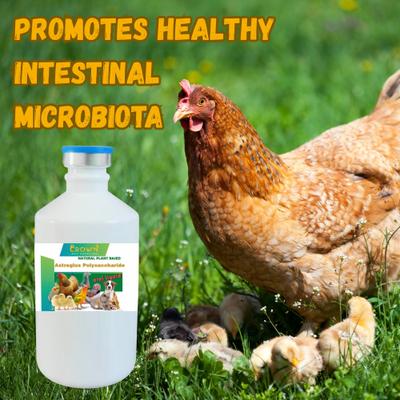 Show full view: Crown Pet Supplies Astraglus Polysaccharide Liquid Immune Support Bird Supplement, 250-mL bottle slide 6 of 8