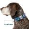 Show in main carousel: Buckle-Down Disney Lilo & Stitch Stitch Flip Expressions Dog Collar, Large: 20 to 31-in neck, 1.5-in wide slide 8 of 9