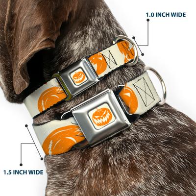 Show full view: Buckle-Down Disney The Nightmare Before Christmas Jack Pose & Pumpkins Dog Collar, Large: 15 to 24-in neck, 1-in wide slide 2 of 8