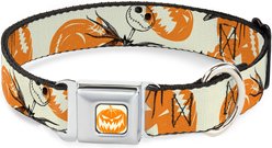 Buckle-Down Disney The Nightmare Before Christmas Jack Pose & Pumpkins Dog Collar, Large: 15 to 24-in neck, 1-in wide