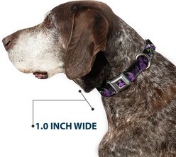 Buckle-Down Disney Maleficent Diablo Dog Collar, Medium: 11 to 16.5-in neck, 1-in wide slide 2 of 8