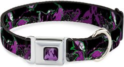 Buckle-Down Disney Maleficent Diablo Dog Collar, Large: 15 to 24-in neck, 1-in wide