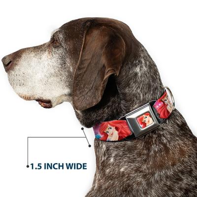 Show full view: Buckle-Down Disney Ariel Flounder Fish Trio Poses Dog Collar, Medium: 16 to 23-in neck, 1.5-in wide slide 7 of 8