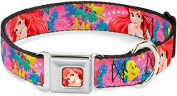 Buckle-Down Disney Ariel Flounder Fish Trio Poses Dog Collar, Medium: 16 to 23-in neck, 1.5-in wide