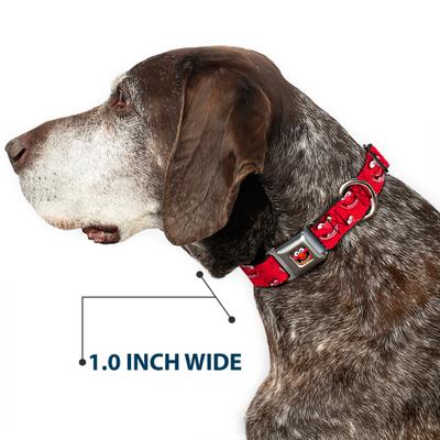 Show full view: Buckle-Down Disney Animal Expressions Dog Collar, Large: 15 to 24-in neck, 1-in wide slide 6 of 8
