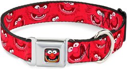 Buckle-Down Disney Animal Expressions Dog Collar, Large: 15 to 24-in neck, 1-in wide