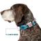 Show in main carousel: Buckle-Down Disney Lilo & Stitch Stitch Expressions & Flowers Dog Collar, Medium: 11 to 16.5-in neck, 1-in wide slide 7 of 8