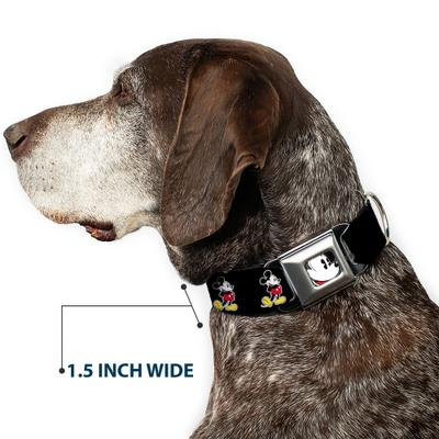 Show full view: Buckle-Down Disney Classic Mickey Mouse Pose Dog Collar, Medium: 16 to 23-in neck, 1.5-in wide slide 8 of 9