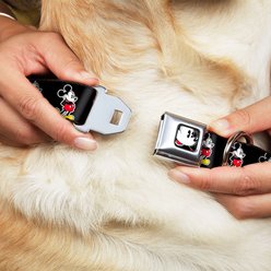 Buckle-Down Disney Classic Mickey Mouse Pose Dog Collar, Medium: 16 to 23-in neck, 1.5-in wide slide 2 of 8