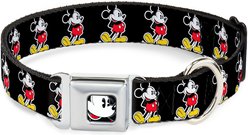 Buckle-Down Disney Classic Mickey Mouse Pose Dog Collar, Medium: 16 to 23-in neck, 1.5-in wide