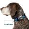 Show in main carousel: Buckle-Down Disney Stitch Expressions & Poses Tropical Dog Collar, Large: 15 to 24-in neck, 1-in wide slide 7 of 8