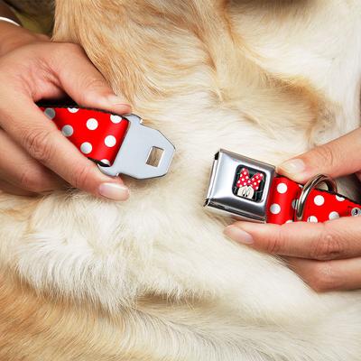 Show full view: Buckle-Down Disney Minnie Mouse Polka Dots Dog Collar, Medium: 11 to 16.5-in neck, 1-in wide slide 8 of 8