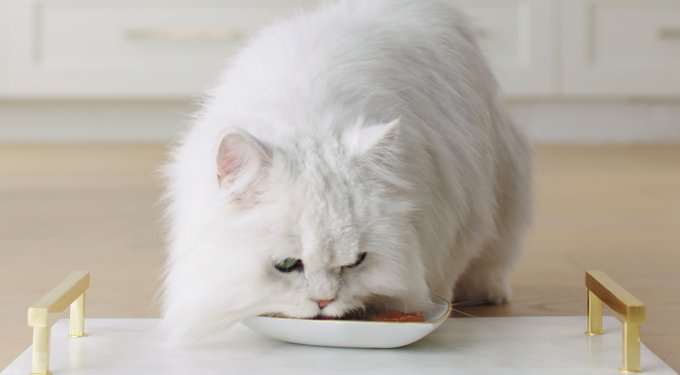 Inaba Churu Grain-Free Chicken Puree Lickable Cat Treat