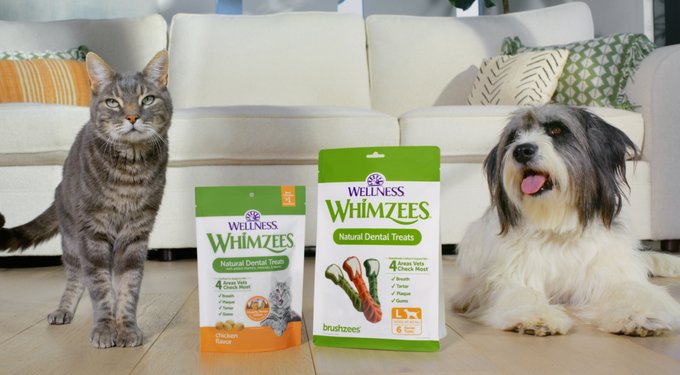 WHIMZEES by Wellness Brushzees Dental Chews Natural Grain-Free Dental Dog Treats
