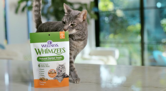 WHIMZEES by Wellness Brushzees Dental Chews Natural Grain-Free Dental Dog Treats