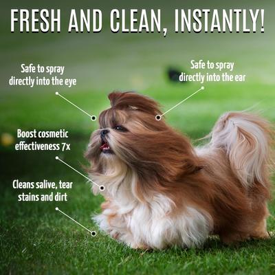 Show full view: Tauro Pro Line 6-in-1 Daily Mist Dog & Cat Grooming Spray, 8.5-fl oz bottle slide 7 of 10