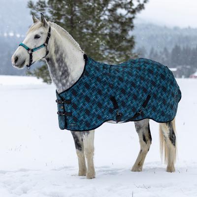 Show full view: Kensington Protective Products Signature Heavy Weight Horse Turnout Blanket, 66-in, Atlantis slide 2 of 10