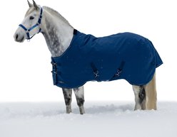 Kensington Protective Products Signature Heavy Weight Horse Turnout Blanket, 72-in, Navy