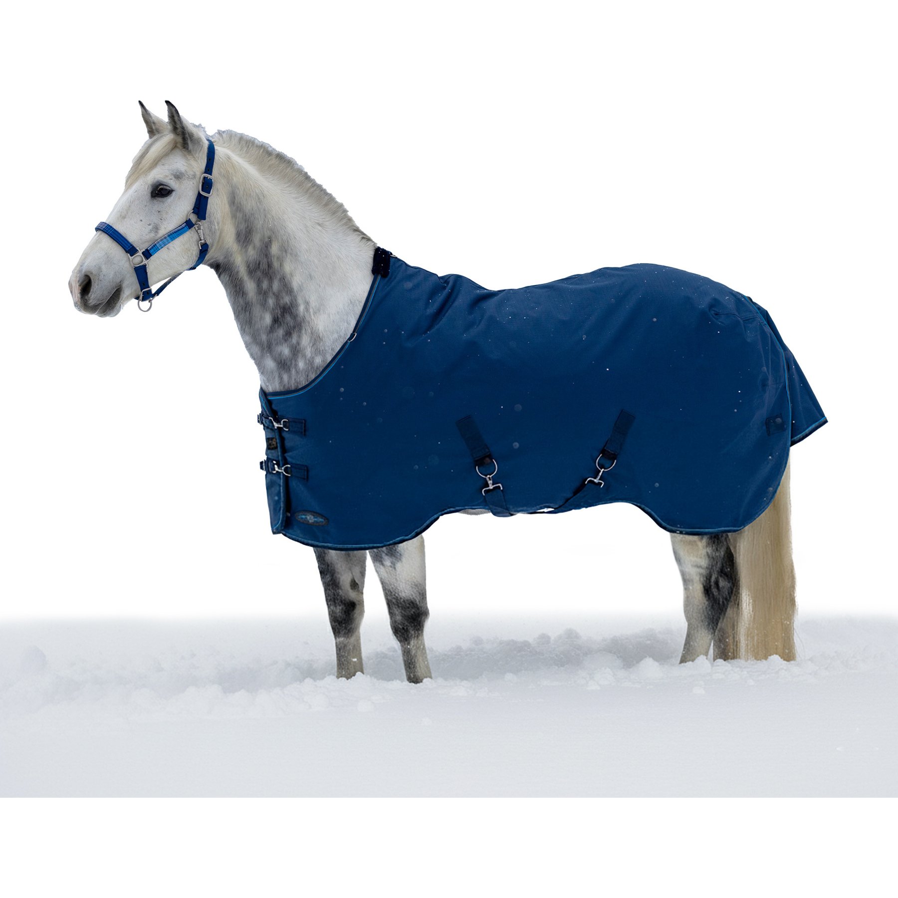Kensington Protective Products Signature Heavy Weight Horse Turnout Blanket, 84-in, Navy
