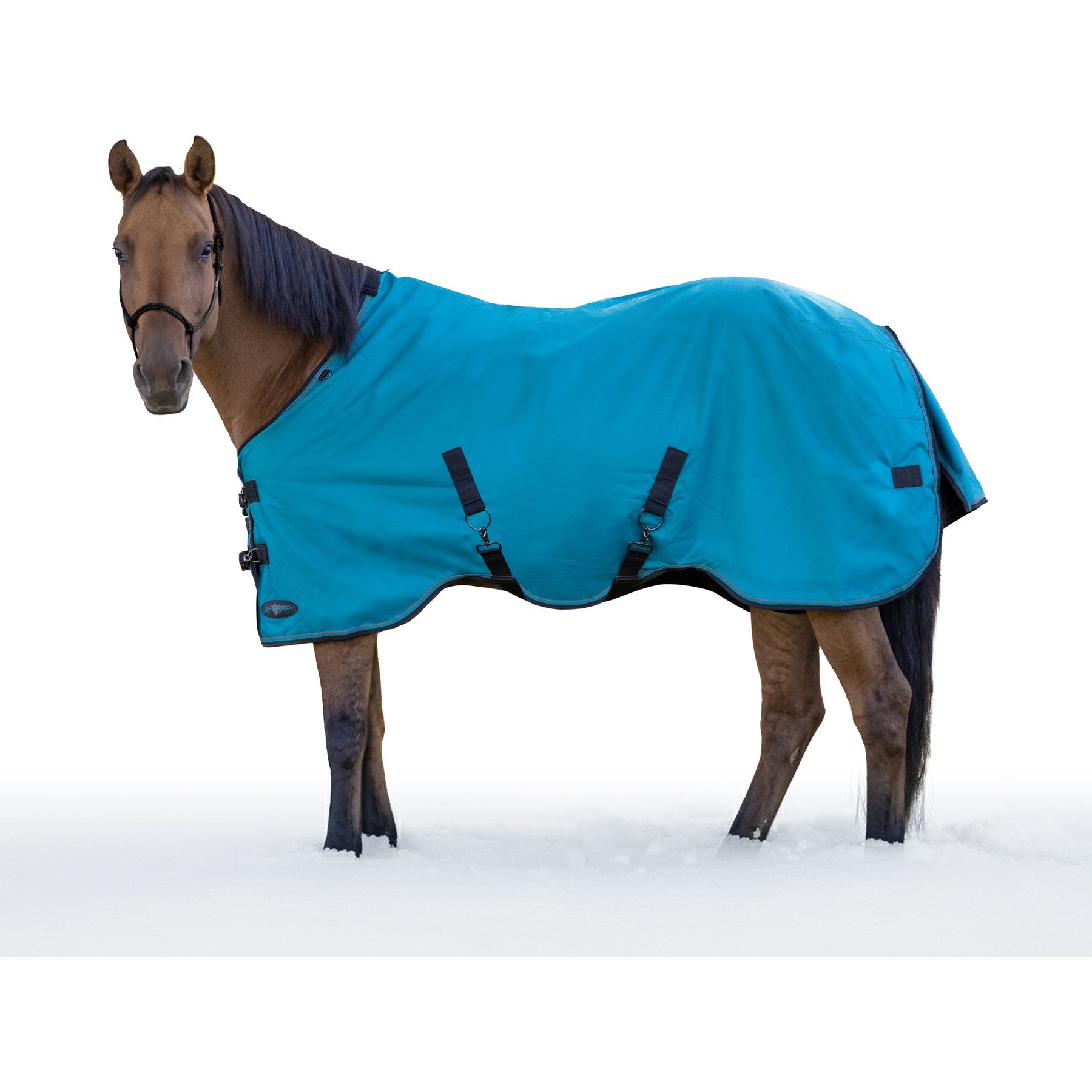 Kensington Protective Products Signature Heavy Weight Horse Turnout Blanket, 69-in, Harbor