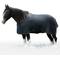 Show in main carousel: Kensington Protective Products Signature Heavy Weight Draft Horse Turnout Blanket, 87-in, Black slide 1 of 9