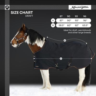 Show full view: Kensington Protective Products Signature Heavy Weight Draft Horse Turnout Blanket, 87-in, Black slide 3 of 9