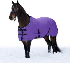 Kensington Protective Products Signature Heavy Weight Horse Turnout Blanket, 66-in, Purple