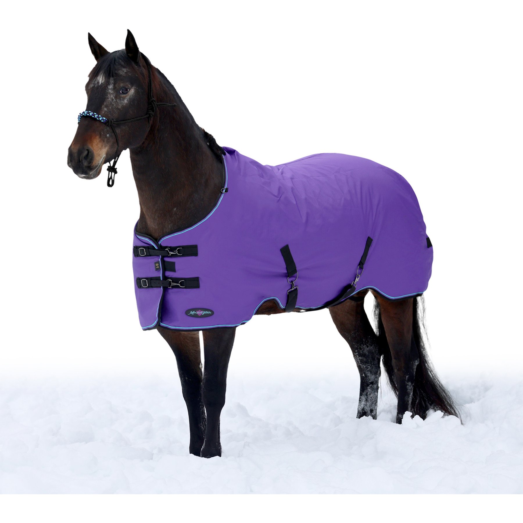 Kensington Protective Products Signature Heavy Weight Horse Turnout Blanket, 81-in, Purple