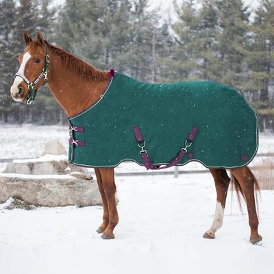 Show full view: Kensington Protective Products Signature Heavy Weight Horse Turnout Blanket, 75-in, Hunter slide 2 of 10