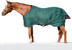 Kensington Protective Products Signature Heavy Weight Horse Turnout Blanket, 75-in, Hunter