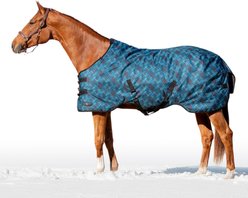 Kensington Protective Products Signature Heavy Weight Horse Turnout Blanket, 66-in, Atlantis