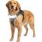Show in main carousel: Lumi Pawtners Lumi One Dog Harness, Black, X-Large: 18 to 35-in chest slide 1 of 11