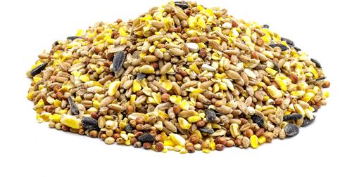 Show full view: Universal Quality Feed Champion Scratch Chicken Food, 50-lb bag slide 2 of 2